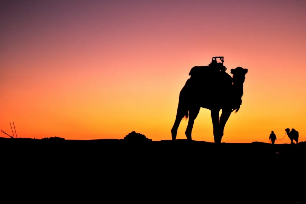 Morocco Desert sunset